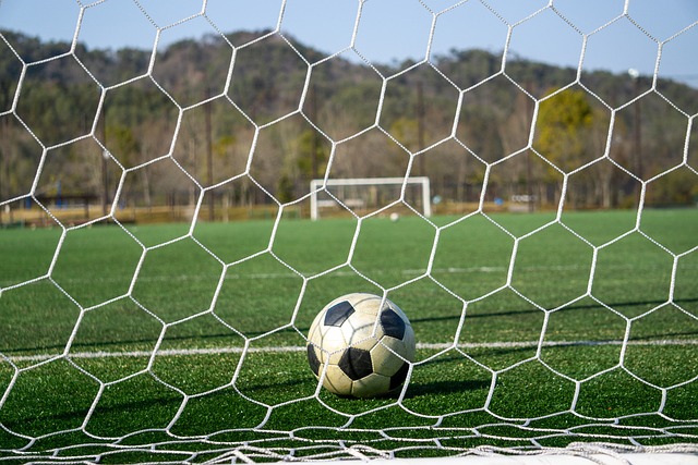 将提供更多 将提供更多