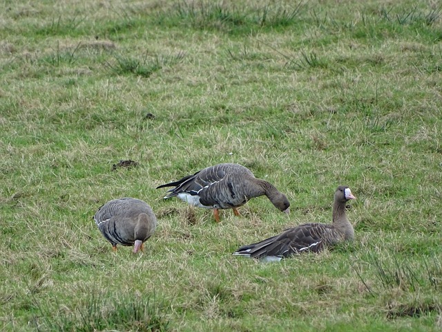 上海队在关 上海队在关