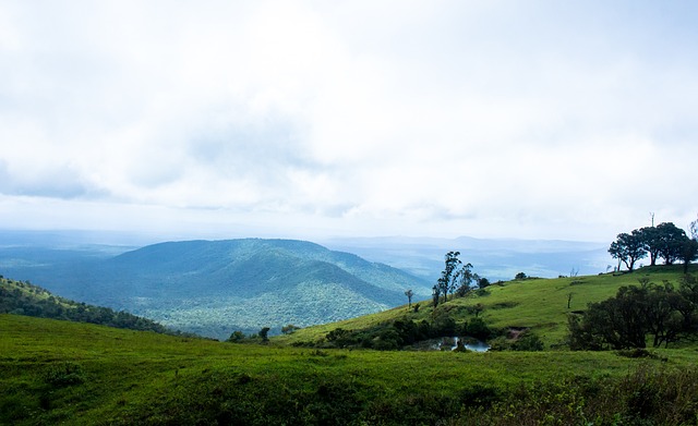 你追我赶的 你追我赶的
