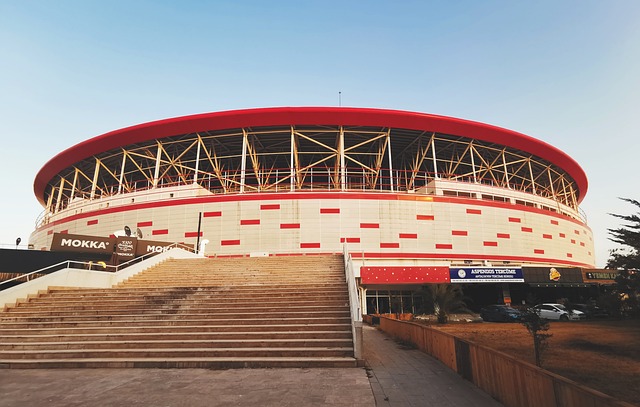 的目标迈进 的目标迈进