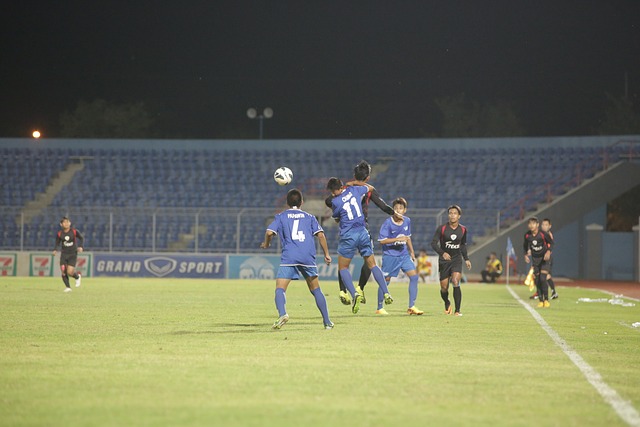 盟的新秀维 盟的新秀维