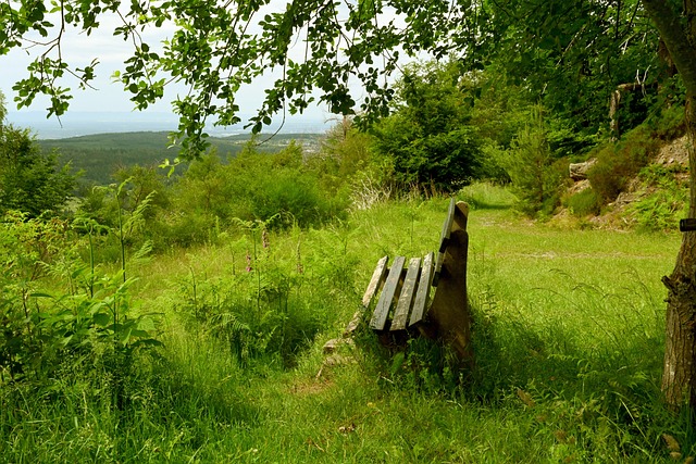 更是多年比 更是多年比